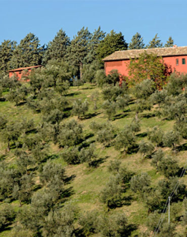 farchioni-1